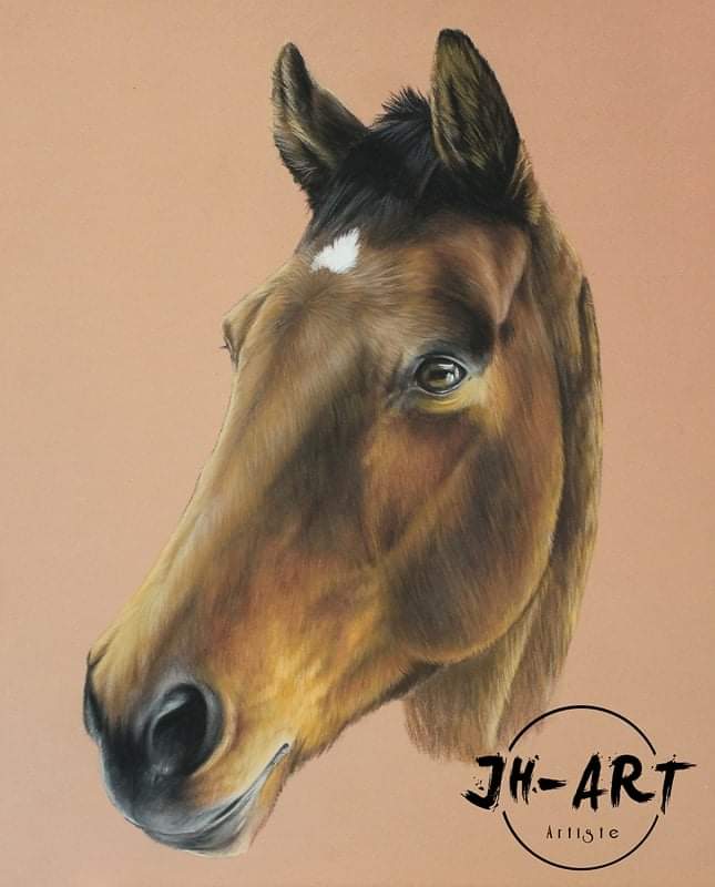 PASTEL portrait animalier 24x30cm