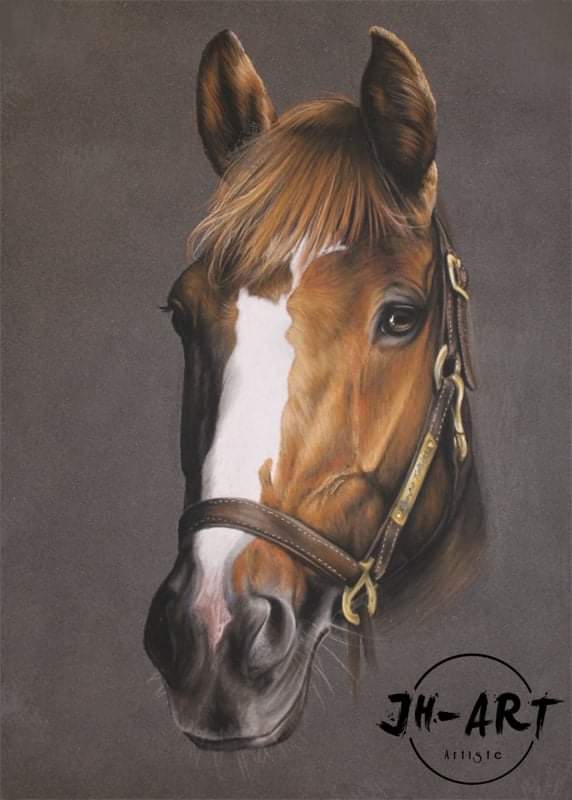 PASTEL portrait animalier 30x40cm