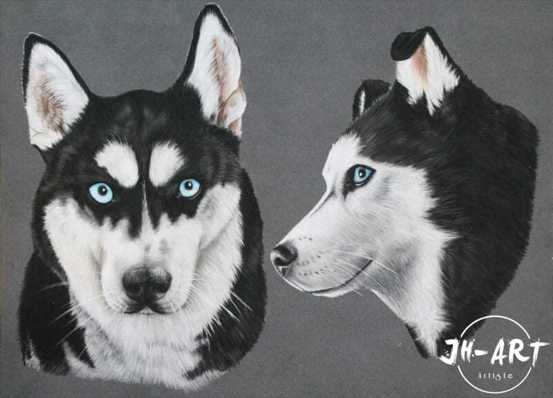 PASTEL portrait animalier 30x40cm