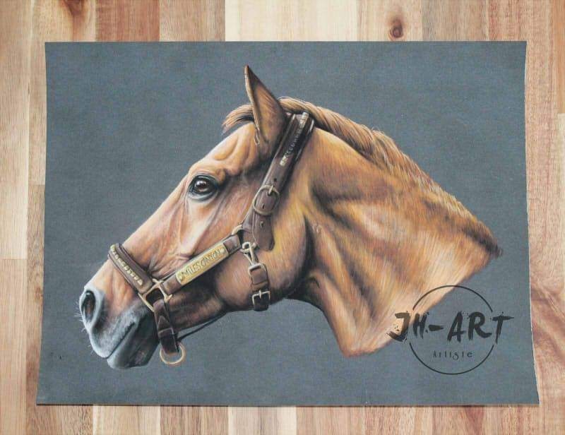 PASTEL portrait animalier 30x40cm