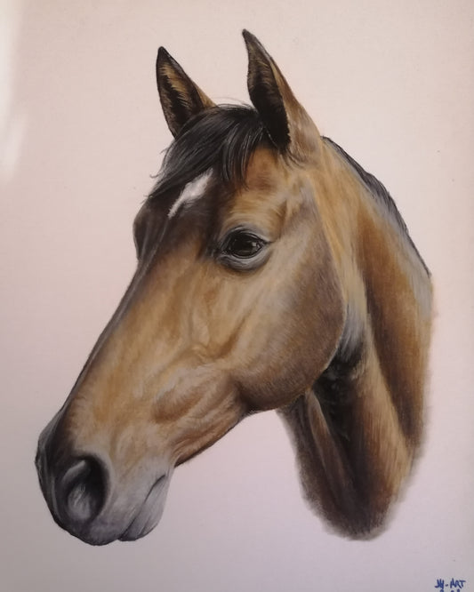 PASTEL portrait animalier 24x30cm