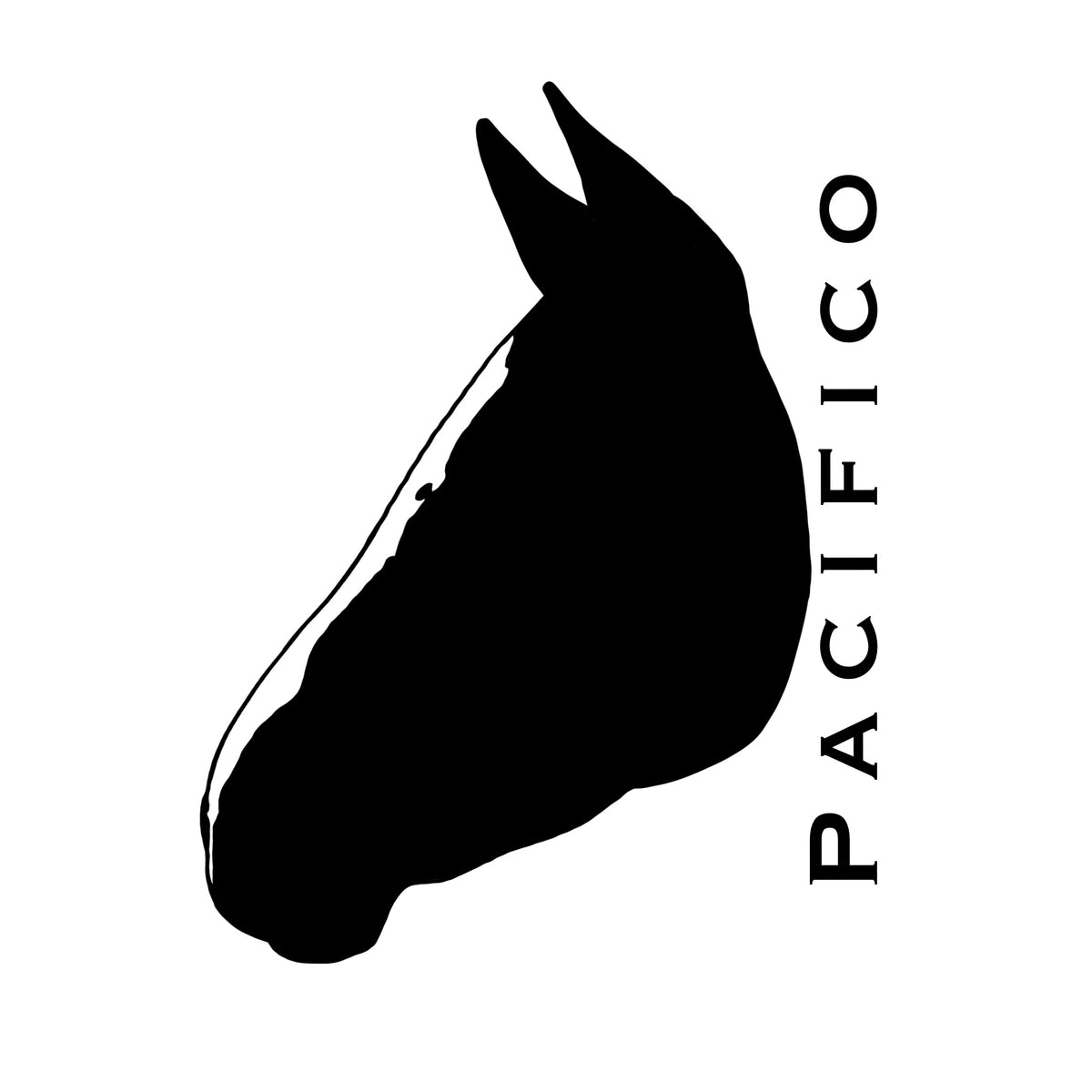 Portrait N/B numérique animaux